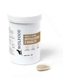 joint et mobility support