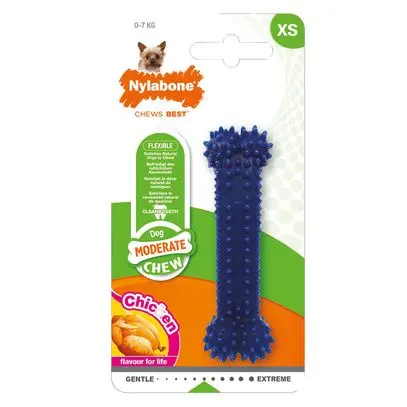 Dental chew Nylabone NYLABONE